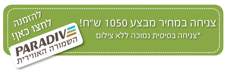 צניחה חופשית מחיר לזוג | צניחה חופשית |פרדייב