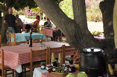 מסעדה באביאל | צניחה חופשית | פרדייב
